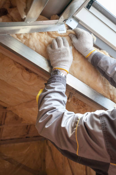 Best Attic Insulation Installation  in Dickson, TN